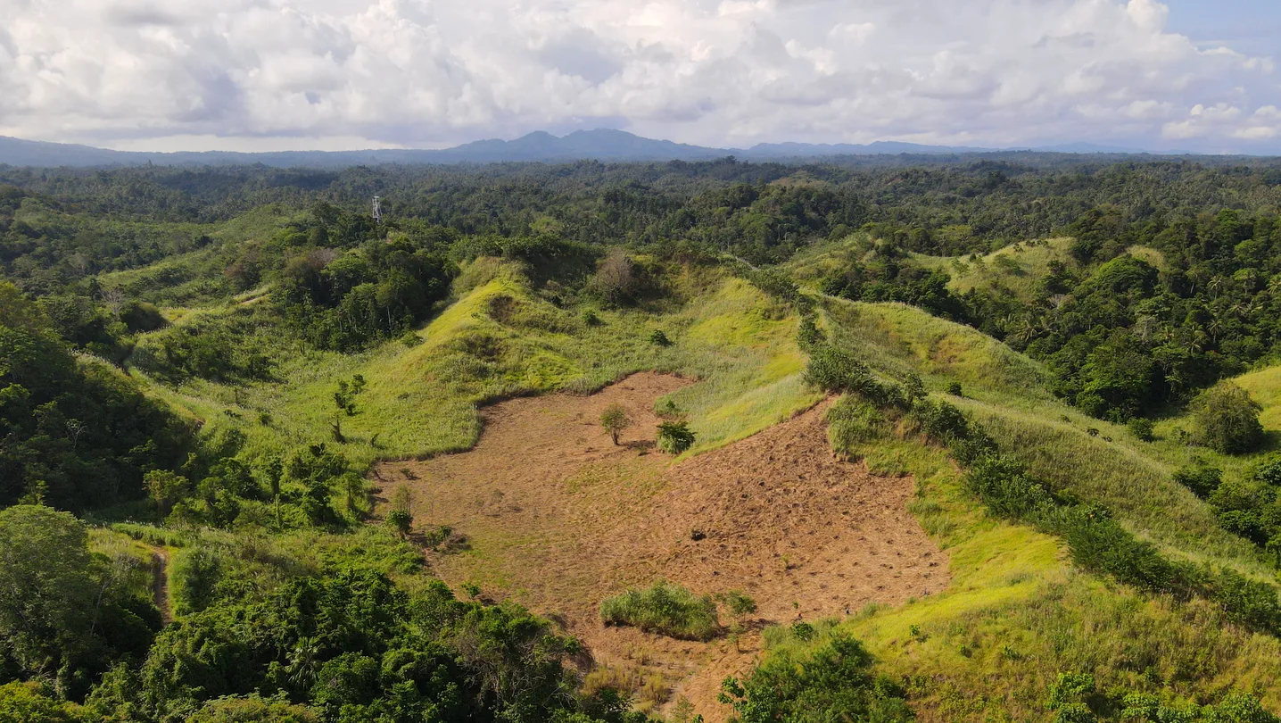 تصویر مرتبط با خبر: We’re boosting agroforestry efforts to help the atmosphere and farmer livelihoods.